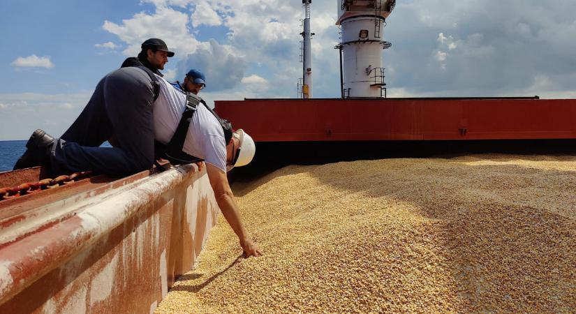 Isztambul partjainál már a második, ukrán gabonát szállító hajót vizsgálják