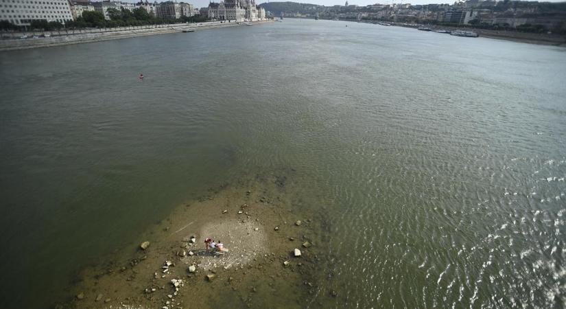 Olyan alacsony a Duna vízállása, hogy kilátszik a Margit-sziget déli csücske – fotó