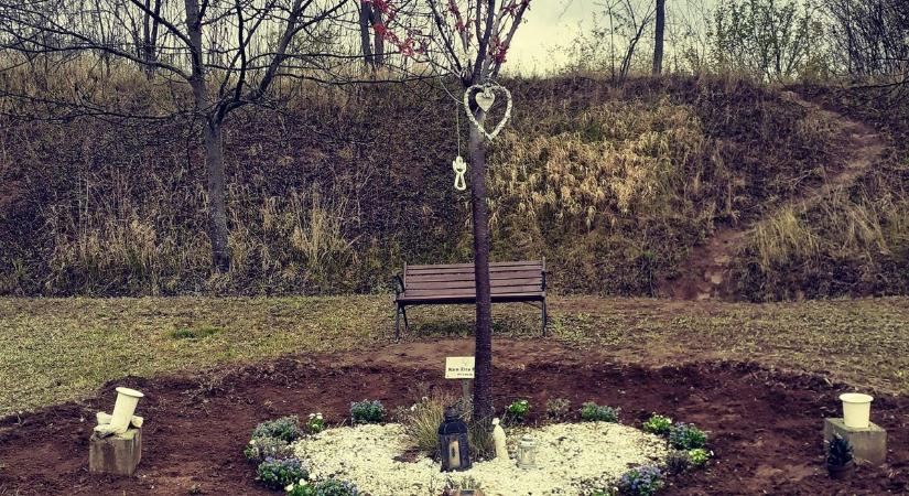 Ellopták a 13 évesen elhunyt egri atléta emlékfája melletti padot