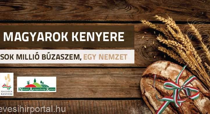 Magyarok Kenyere Program Heves városában – Sok millió búzaszem, egy nemzet