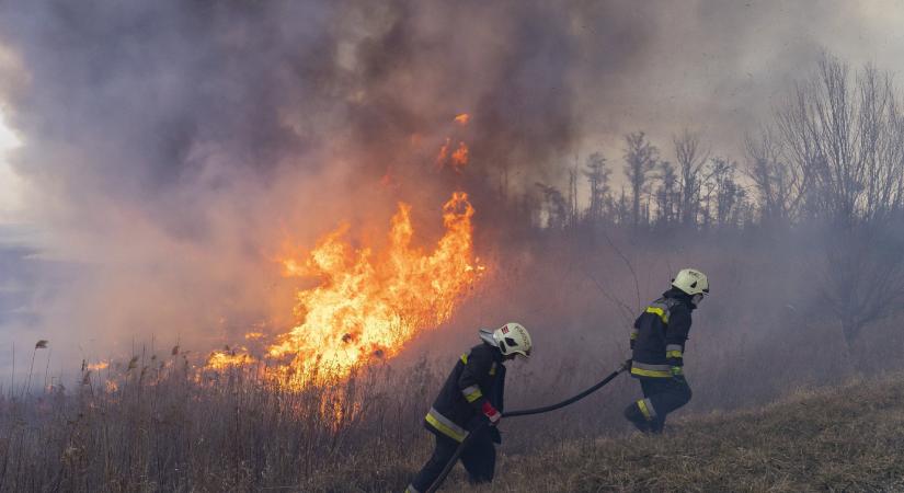 Száraz fű kapott lángra Szegednél, vásárhelyi tűzoltók is oltották