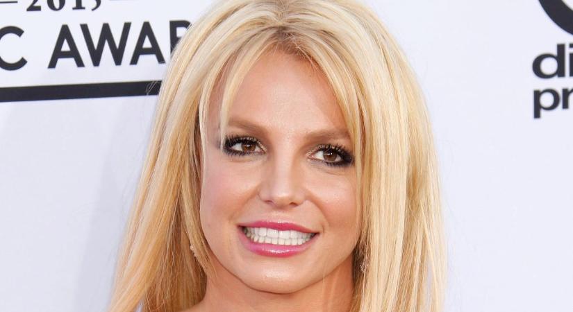 Britney Spears exférje kitálalt a gyerekeikről