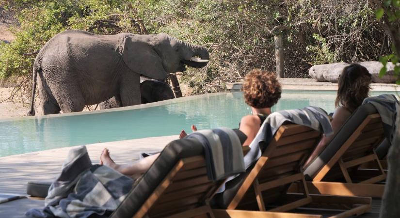 Lélegzetelállító szálláson pihenhetünk egy afrikai vadrezervátum mellett