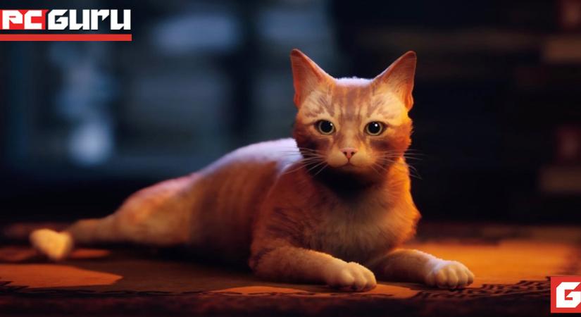 [Top 5] A legemlékezetesebb videójátékos macsekok