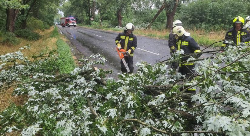 Tetőszerkezetet beszakító és forgalmat veszélyeztető fákhoz riasztották a tűzoltókat Nógrádban