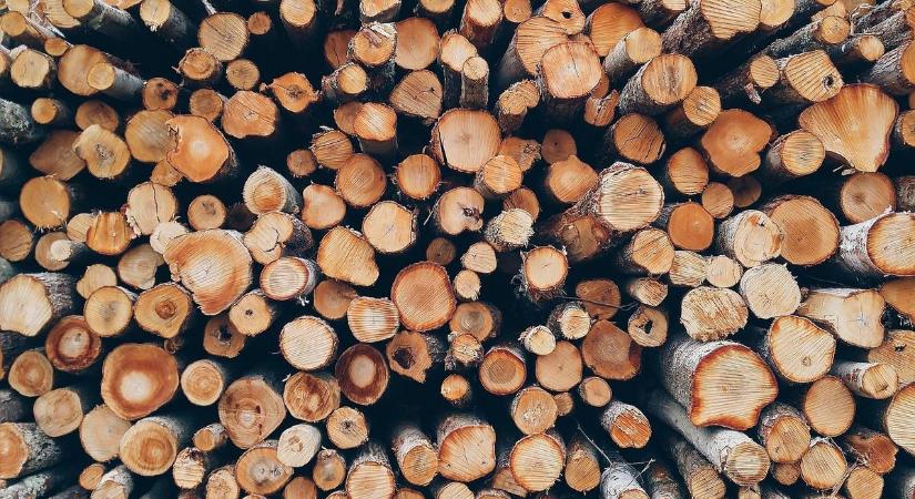 Az Alkotmánybírósághoz fordul az LMP: nem nyugszanak bele a fakitermelésre vonatkozó rendeletbe