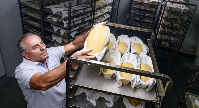 Az év innovatív kenyere az ásotthalmi batátás kenyér - fotók