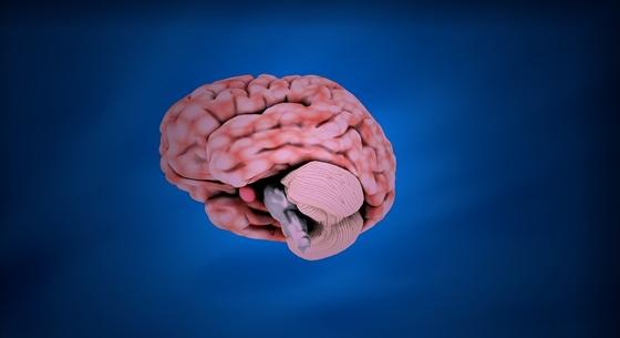 Éjfél után már rosszabb döntéseket hoz az agy – mondják a kutatók