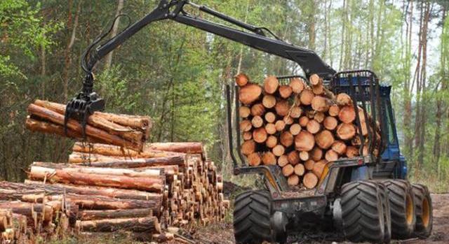 A tűzifa ellátási zavarok és a magán erdőgazdálkodás rendezetlenségének összefüggései