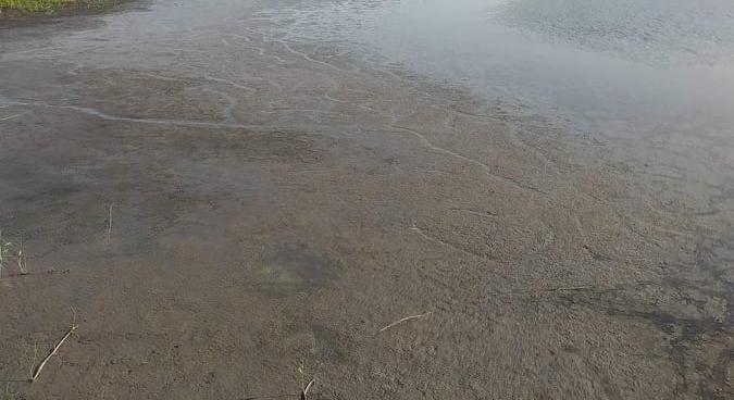 Szomorú felvételek: szinte kiszáradtak a Kakasszéki-tavak