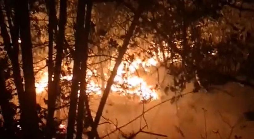 Tűz az egyik ismert horvát strandon, lezárták az utat (videó)