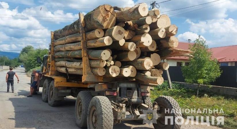 Kárpátalján illegálisan fát szállító teherautó került rendőrkézre (Fotók)