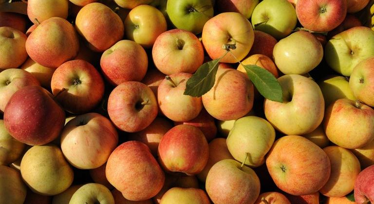 Súlyos gondok vannak a magyar almával: ezt jobb, ha mindenki tudja