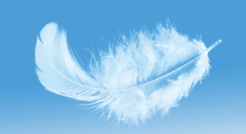 Heti angyalhoroszkóp 2022. augusztus 8-14.: bízz az angyalok segítségében