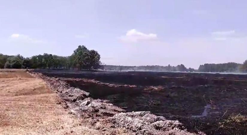 Ez maradt a kisteleki tűz után - Videó