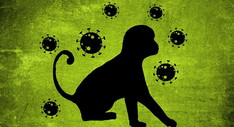 Már harminc majomhimlős esetet igazoltak az országban