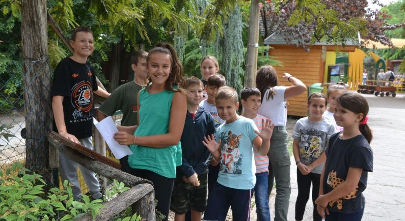Négyszáz gyermek táborozott a Kecskeméti Vadaskertben