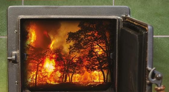Veszélybe kerülhetnek a nemzeti parkok a kormány tűzifarendelete miatt
