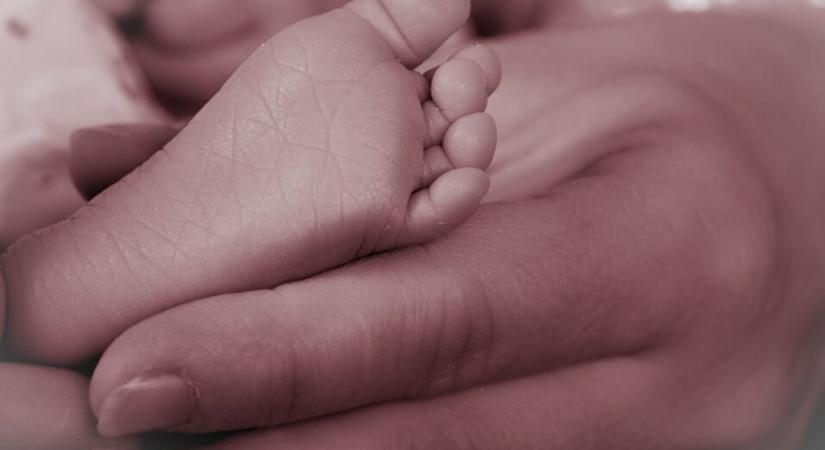 Nyolc kisbaba született a múlt héten Vásárhelyen