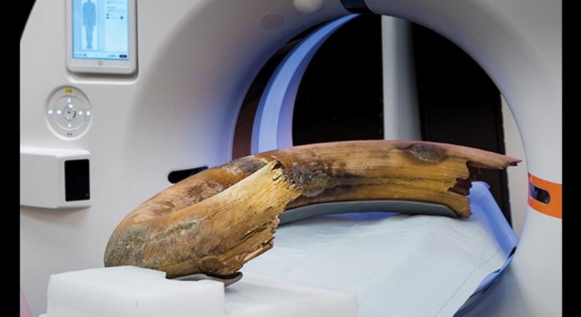 Mamutagyar CT-vizsgálata