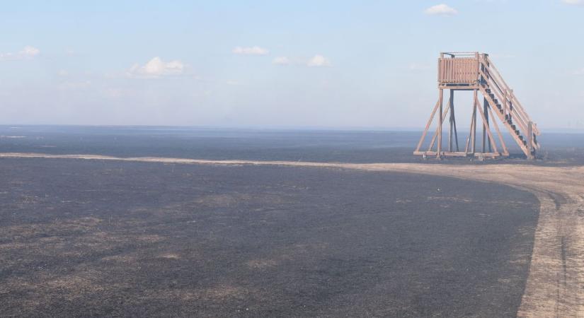 Szomorú képet fest a leégett kunmadarasi határ