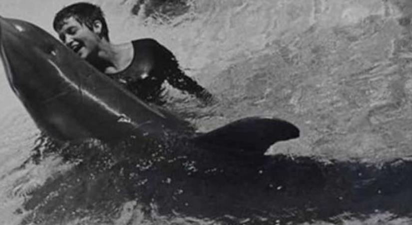 Egy delfinnel volt szexuális viszonya a gondozónőnek: tragédia lett a vége a NASA által támogatott kutatásnak