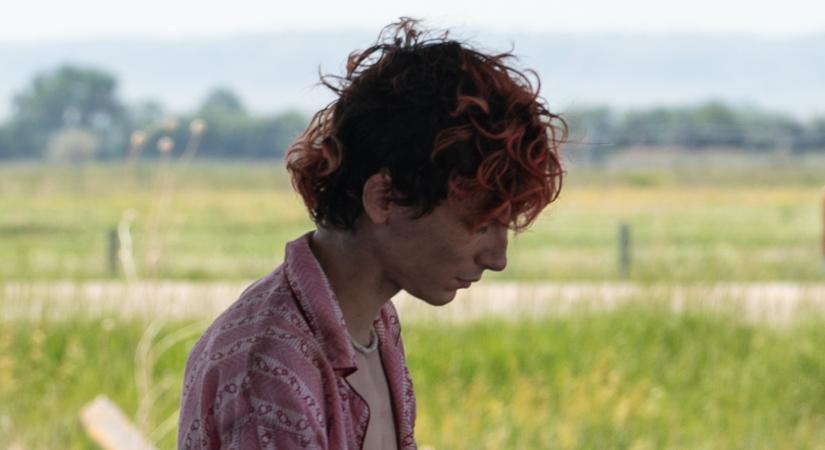 Bones and All: Timothée Chalamet egy romantikus lelkű kannibált játszik a Szólíts a neveden rendezőjének új filmjében, melynek megérkezett az első kedvcsinálója