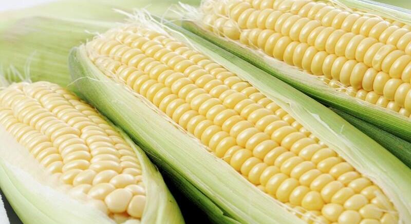 Továbbra is Európa élén a hazai csemege-kukorica