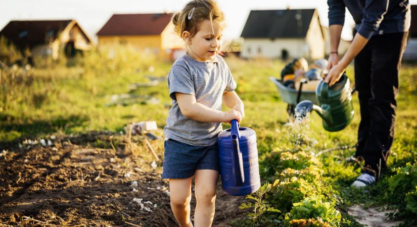 Ingyen locsolhatod a kerted 2022-ben: ezzel a módszerrel akkor is, ha épp vízkorlátozás van