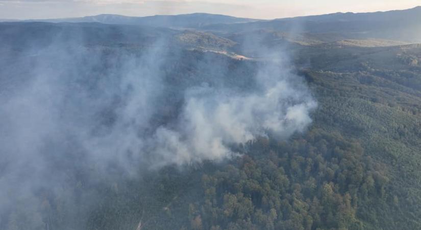 Erdőtűz az Ungvári járásban