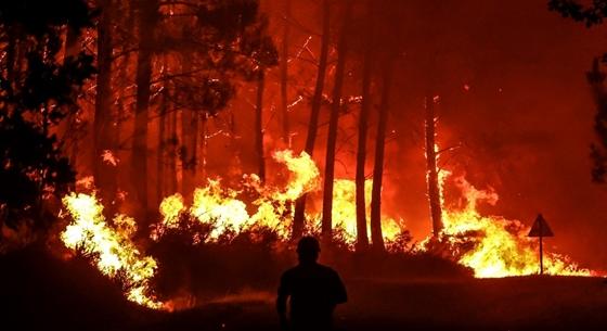 Ellepik a lángok a Bordeaux melletti erdőket, több mint ezer tűzoltó küzd a tűzzel