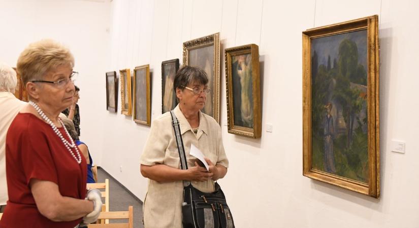Neves festőművész alkotásaiból nyílt kiállítás a megyeszékhelyen – galériával