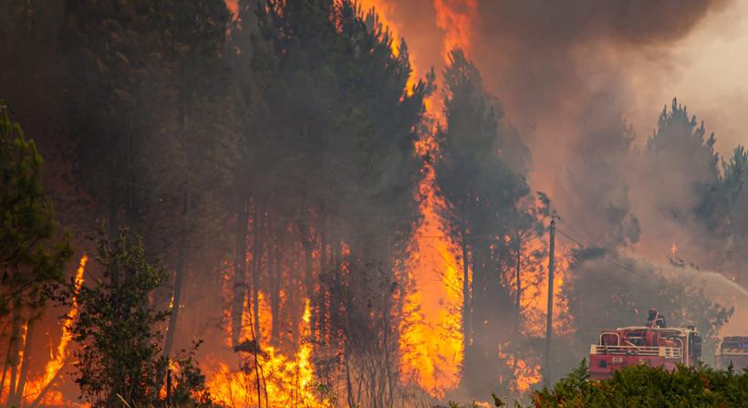 Elővigyázatosságból több mint ötszáz embert evakuáltak erdőtűz miatt egy spanyol faluból