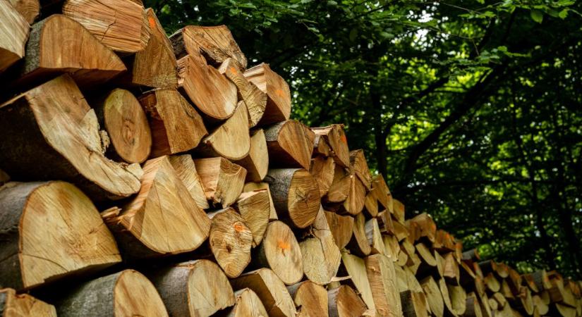 A helyi önkormányzatok kérik Orbánt, hogy vonja vissza a tűzifa rendeletet