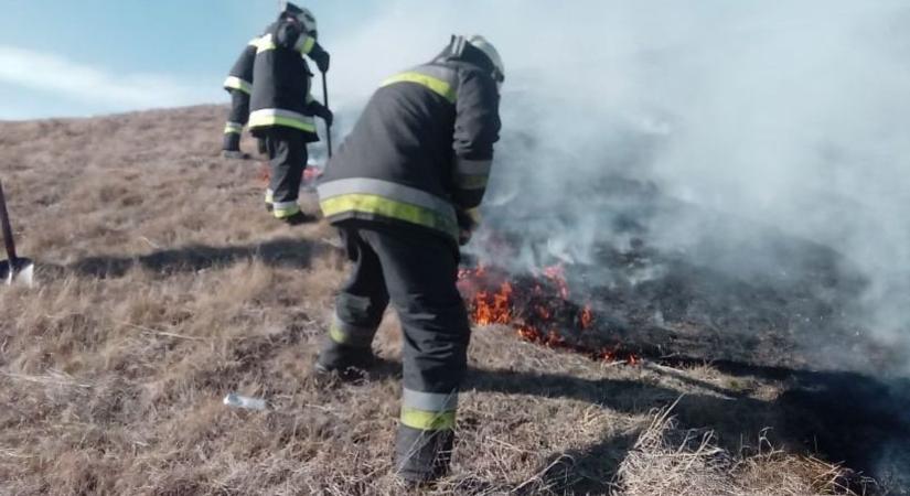 Több hektáron lángolt a száraz fű Bokodon és Tatabányán