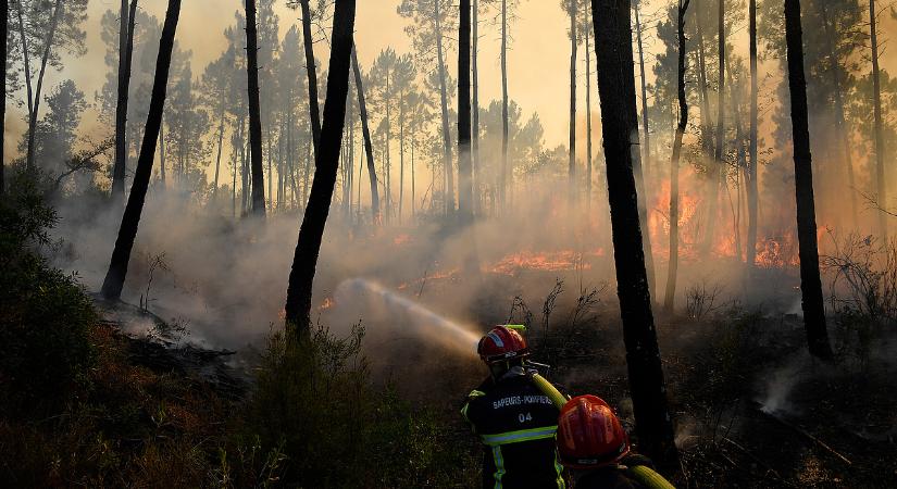 Súlyos károkat okoznak az erdőtüzek Európában