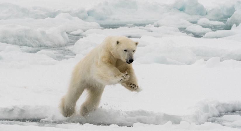 Négyszer gyorsabban melegszik az Északi-sarkvidék, mint a Föld más részei