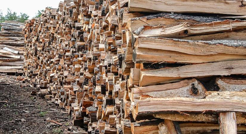 A fakitermelésről szóló rendelet nem veszélyezteti az erdőket