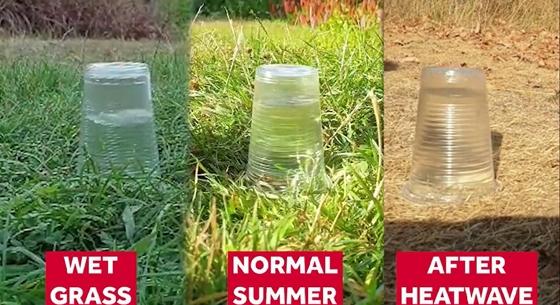 Medgöbbentő videón látni, mit tesz a szárazság a talajjal