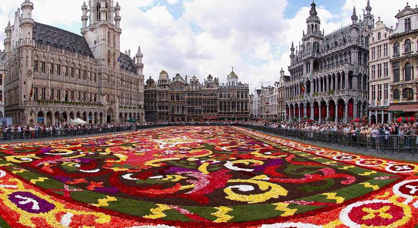 A hőség miatt idén cserepes növényekből rakták ki a brüsszeli virágszőnyeget