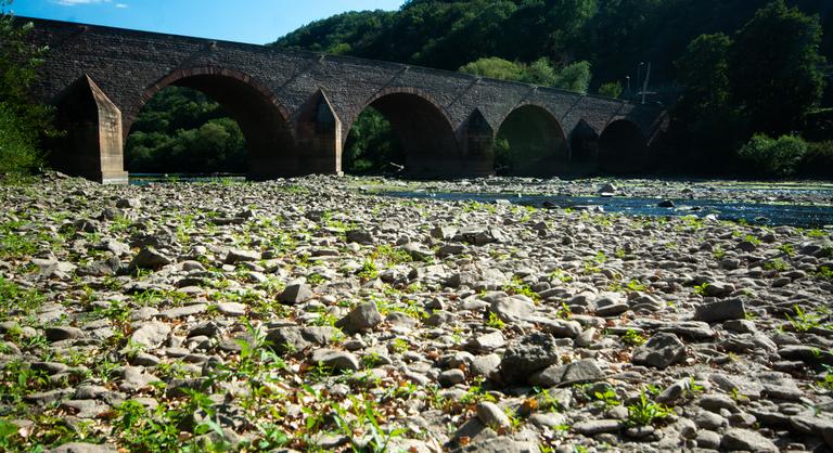 Sorra száradnak ki Európa folyói, veszélyben a Duna halai