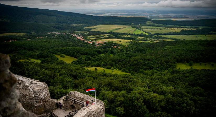Megint üzent az agrárminiszter: Nincs veszélyben a magyar erdőállomány!