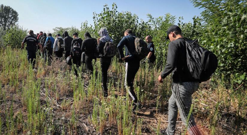 Ismét migránsok lövöldözhettek Horgosnál