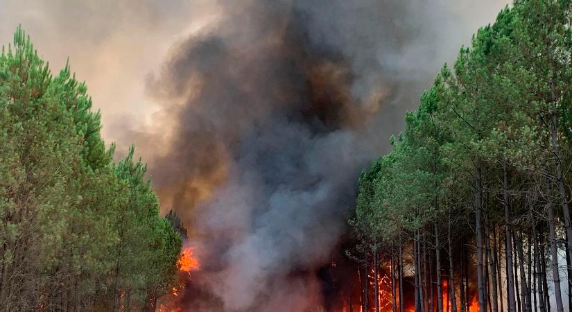Ennyi erdőt sosem pusztítottak el a tüzek Európában, mint idén eddig