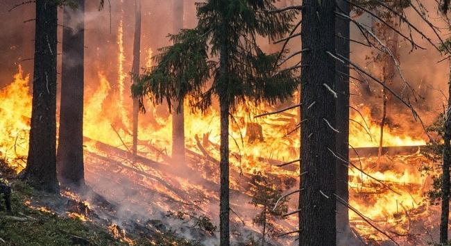 Erdőtüzek - Szomorú rekordok dőltek meg az idén Európában