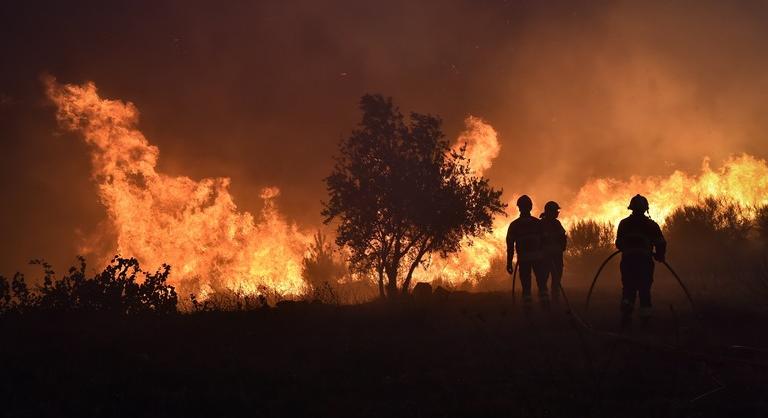 Drámai a helyzet Európában: rekordnagyságú tüzek pusztítottak az erdőkben