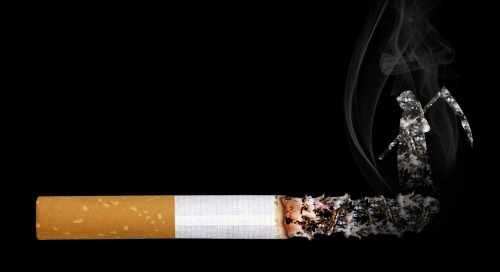 NAV: 29 millió forint értékű adózatlan cigarettát foglaltak le a zsurki zöldhatárnál