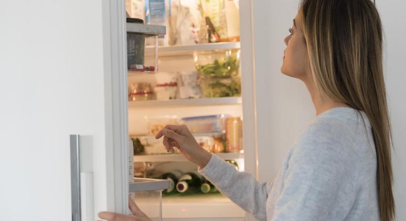 Ezzel az 5 tippel jóval kevesebbet fogyaszt majd a hűtőd