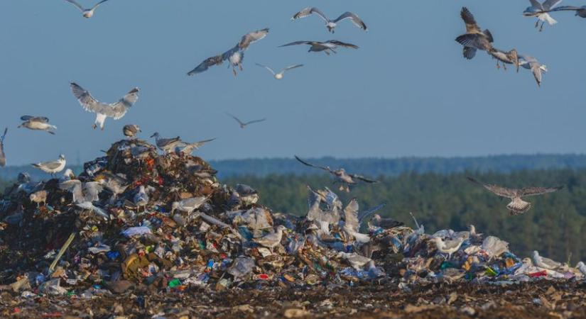 Óriási mennyiségű metánt bocsátanak ki a hulladéklerakók