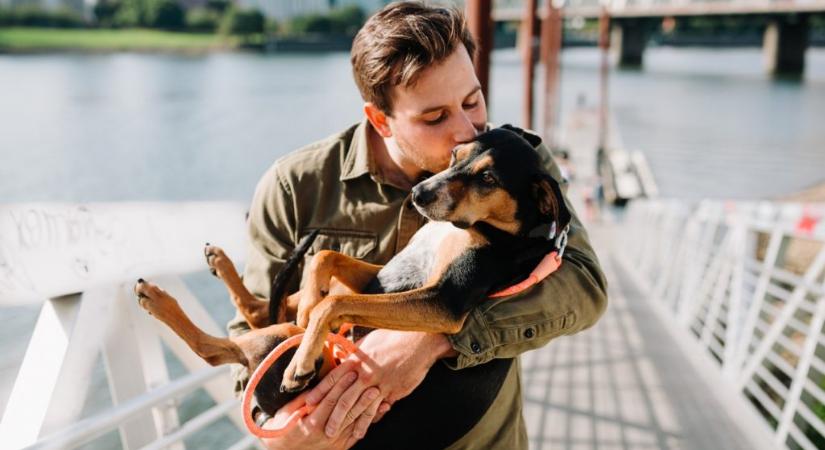 Kutatás: vonzóbbak a profilfotójukon kutyával szereplő férfiak a randioldalakon